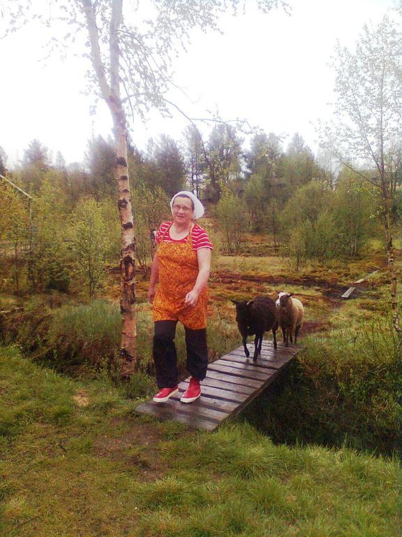 Kelotin Rantamajat Otel Leppäjärvi Dış mekan fotoğraf
